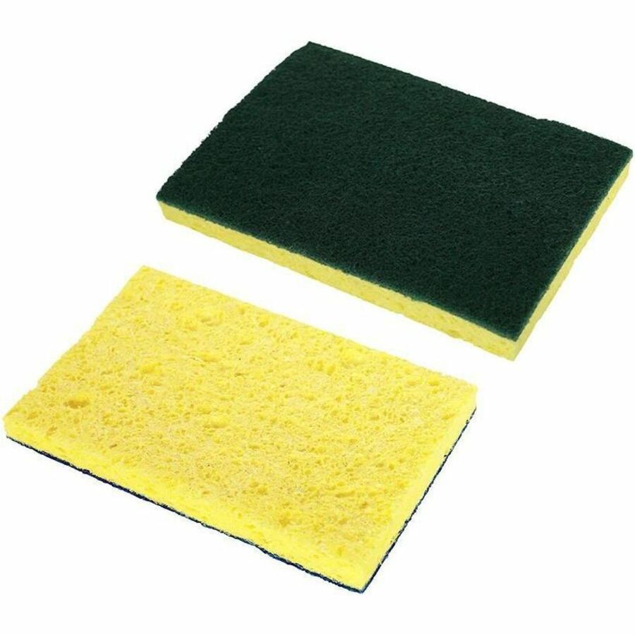 Sponges